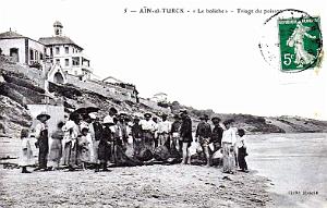 AIN-EL-TURCK - LE TRIAGE DU BOLICHE